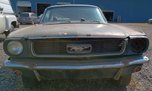 1966 Ford Mustang Coupe 