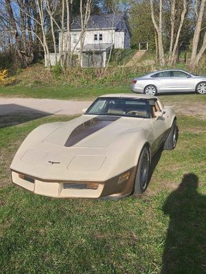 1981 Chevrolet Corvette  for sale $16,495 