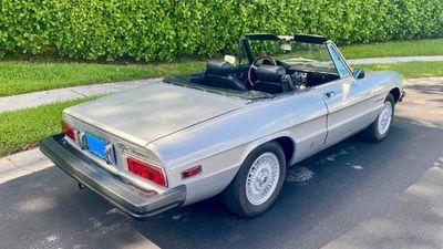 1978 Alfa Romeo Spider Veloce  for sale $18,995 