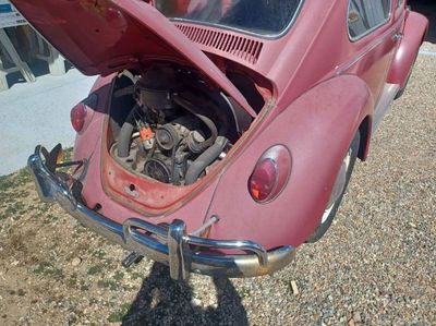 1967 Volkswagen Beetle  for sale $12,495 