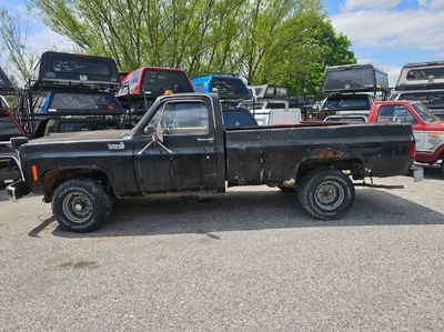 1979 Chevrolet C10  for sale $5,495 