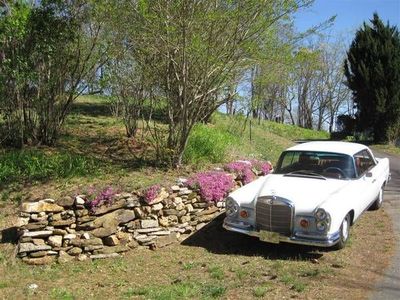 1966 Mercedes-Benz 220SE  for sale $69,995 