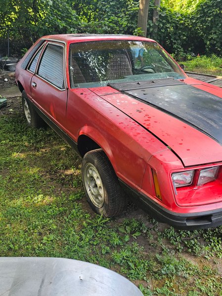 1984 Mustang Roller   for Sale $750 