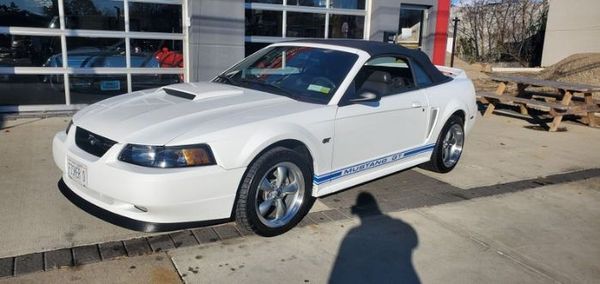 2000 Ford Mustang  for Sale $20,995 