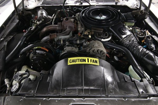 1981 Pontiac Firebird Trans Am Turbo for Sale $22,995
