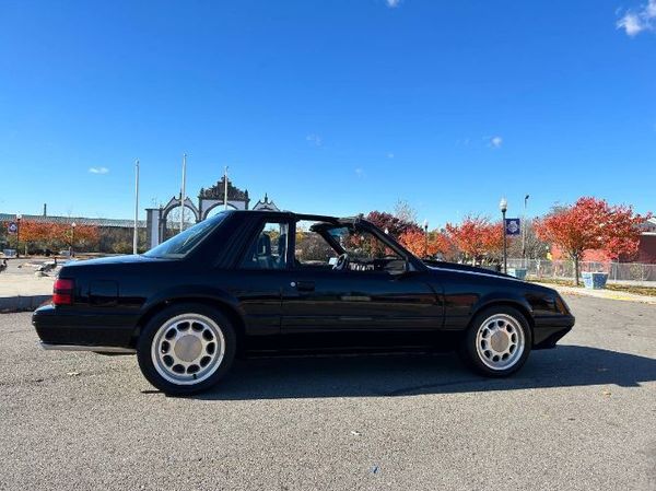 1981 Ford Mustang  for Sale $50,995 