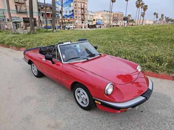 1986 Alfa Romeo Spider  for Sale $12,495 