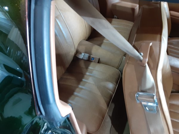 1981 Pontiac trans am for Sale $18,500