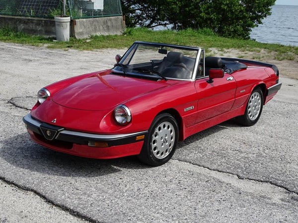 1986 Alfa Romeo Spider Quadrifoglio  for Sale $16,995 