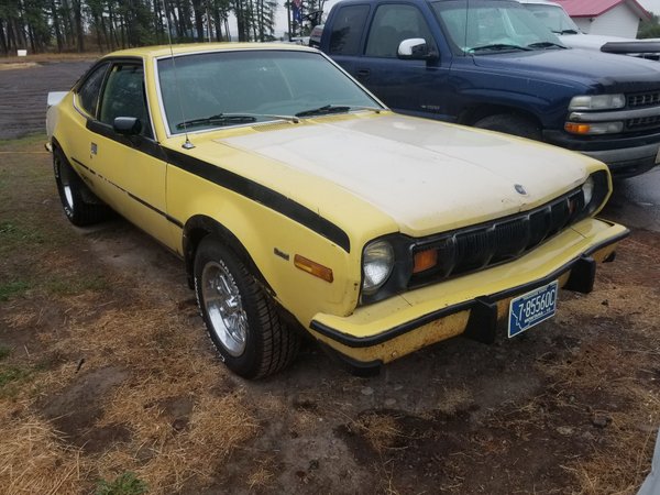 1977 American Motors Hornet for Sale $5,000