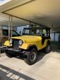1974 Jeep CJ5  for sale $9,495 