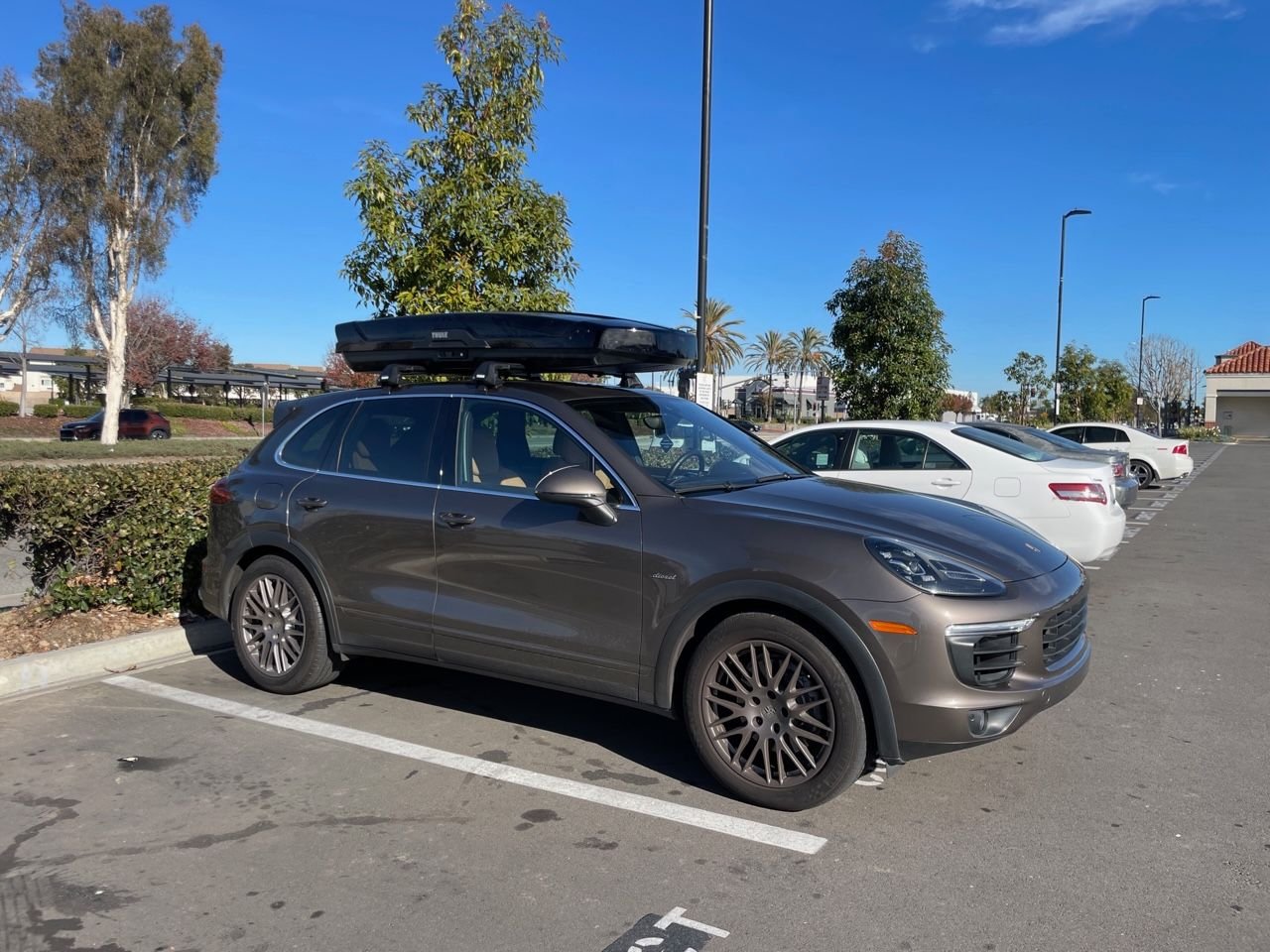 Thule Motion XT Alpine Cargo Carrier Rennlist Porsche