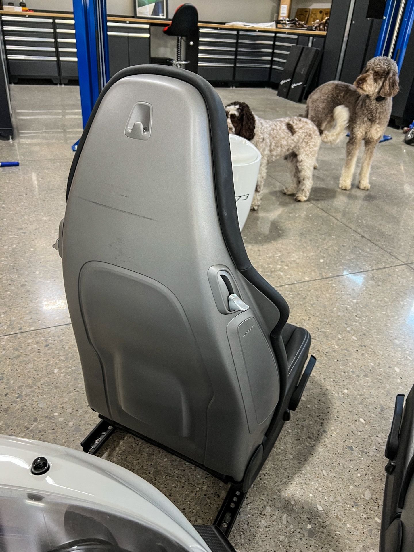 Interior/Upholstery - 981 GT4 Sofa Seats - Used - 2016 to 2021 Porsche Cayman - Waukee, IA 50263, United States