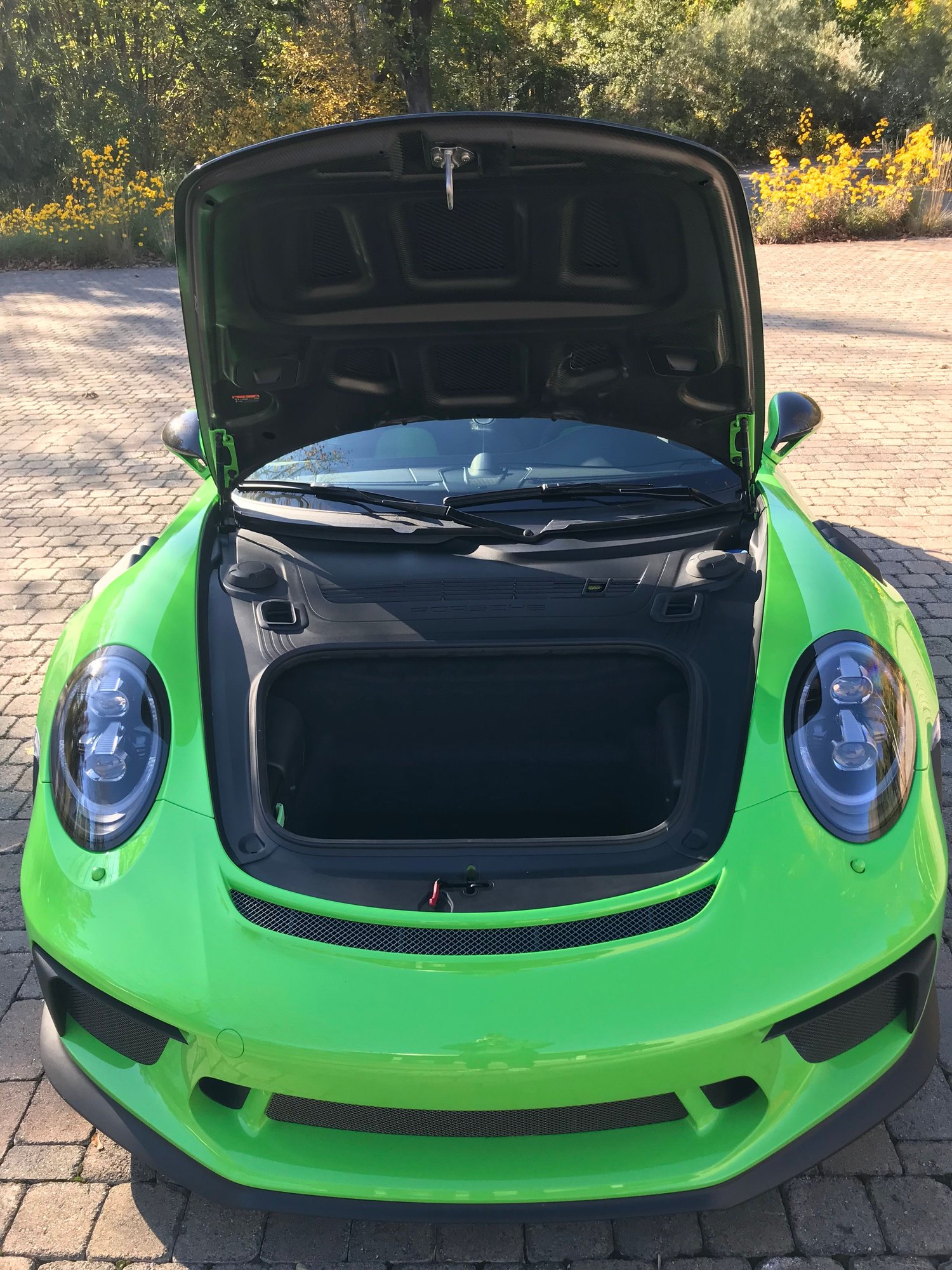 2019 Porsche GT3 - 2019 Porsche GT3RS Lizard Green Weissach - Used - VIN WP0AF2A96KS164212 - 510 Miles - 6 cyl - 2WD - Manual - Coupe - Other - Monkton, MD 21111, United States
