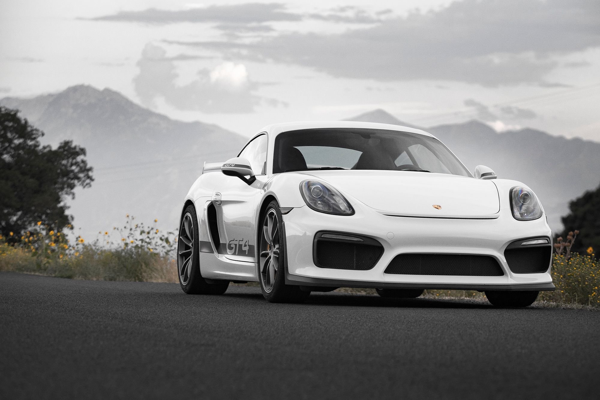 2016 Porsche Cayman GT4 - 2016 Porsche Cayman GT4 White PCCB , Carbon Buckets ~12k Miles - Used - VIN WP0AC2A88GK197638 - Salt Lake City, UT 84047, United States