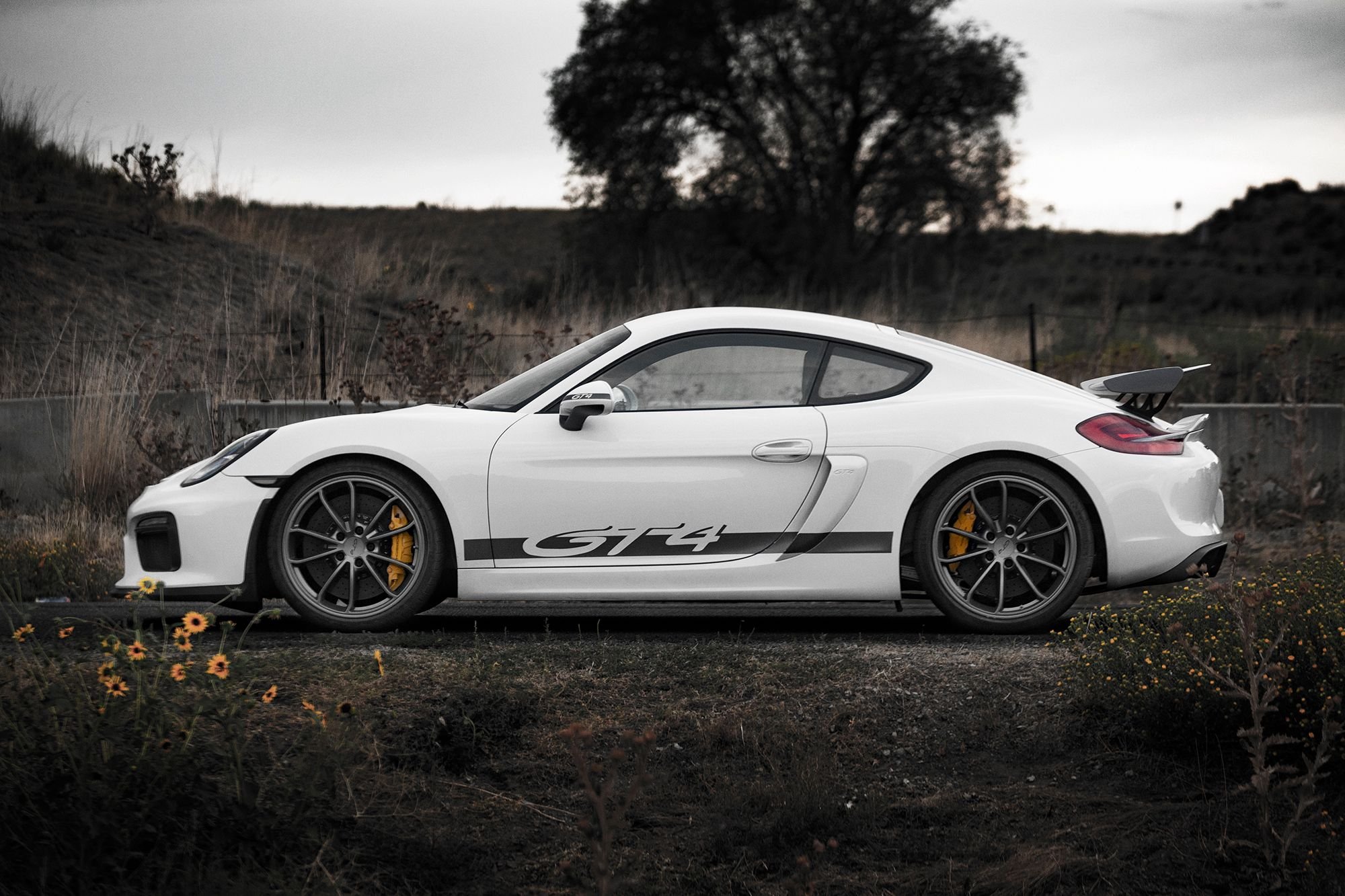 2016 Porsche Cayman GT4 - 2016 Porsche Cayman GT4 White PCCB , Carbon Buckets ~12k Miles - Used - VIN WP0AC2A88GK197638 - Salt Lake City, UT 84047, United States