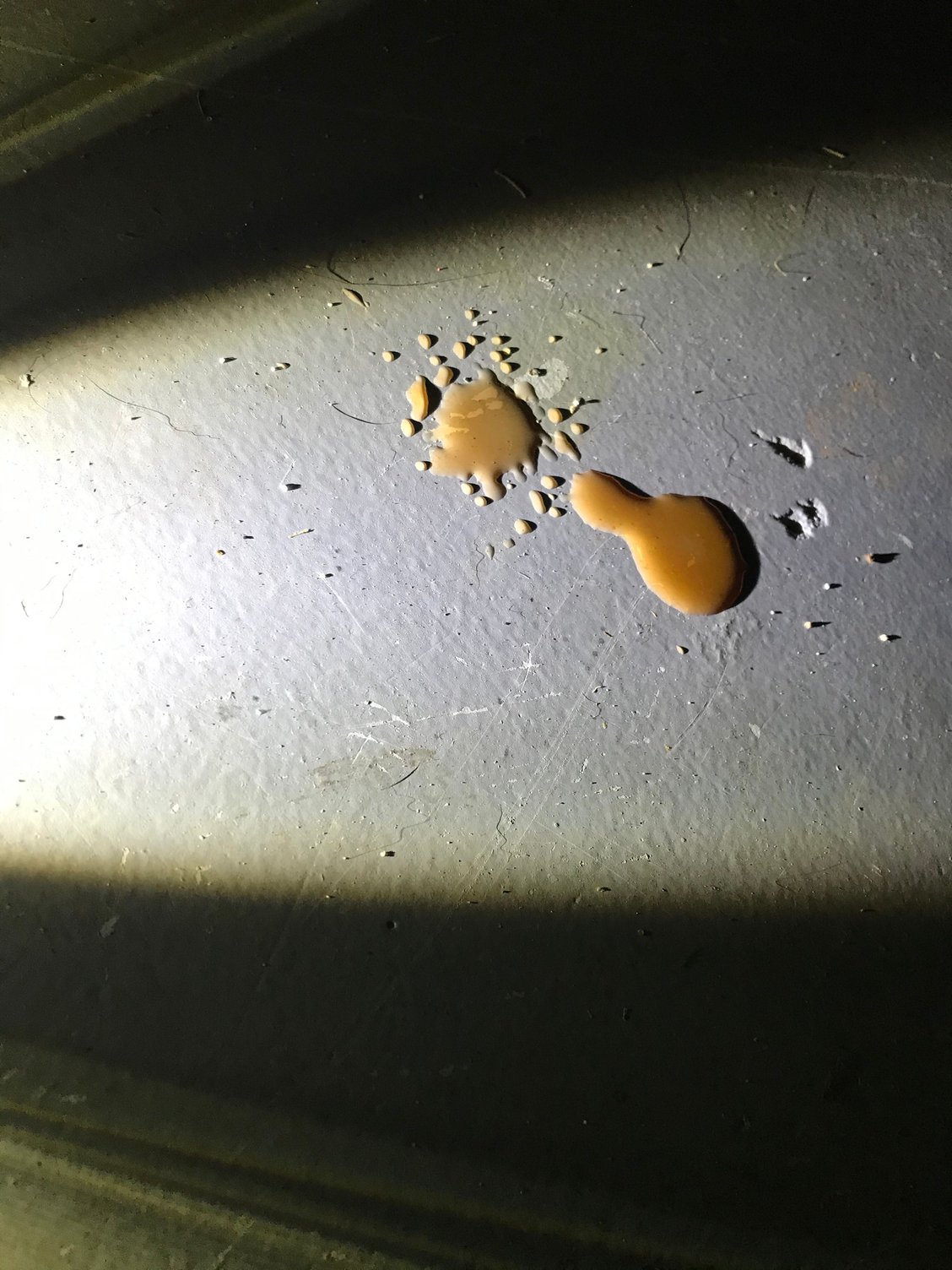 Orange Fluid Leaking From Car