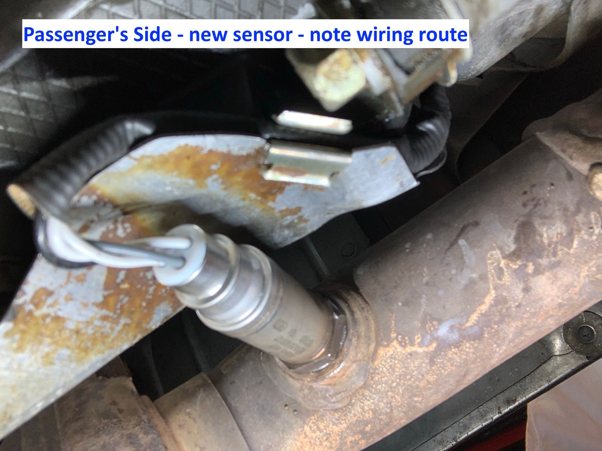 Oxygen O2 Sensor Color Diagnosis White Rennlist Porsche