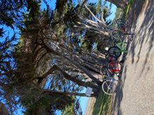 cypress tunnel