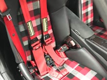 Former 981 GT4 (home-made insert covers) and you can see CF trim in LWB and console