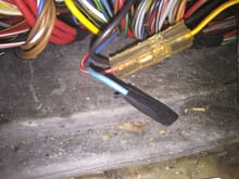 Not sure of this blue wire either, has a greenish yellow stripe that's hard to see
