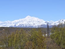 Mt. Denali (McKinley) in all her splendor