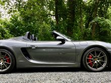 981 Spyder