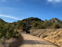 The road to the hot springs