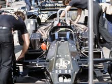 Lotus In Pits