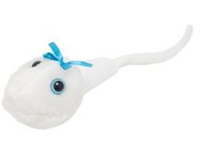 sperm cell