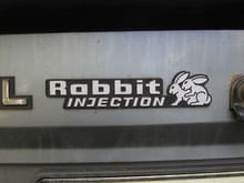 02 08 31 Rabbit injection