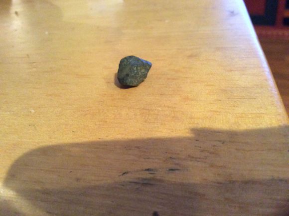 Here was the culprit in my little escapade...a lesson well learned...Unbelievable, until it happens to you...
