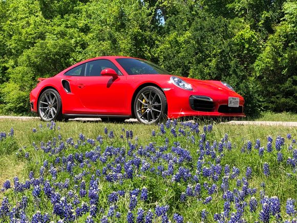 During a Bluebonnet drive.