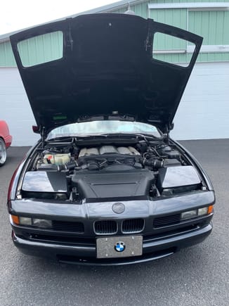 BMW with holes in the hood