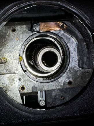 view of what appears to be another bush with cutout at 9 oclock