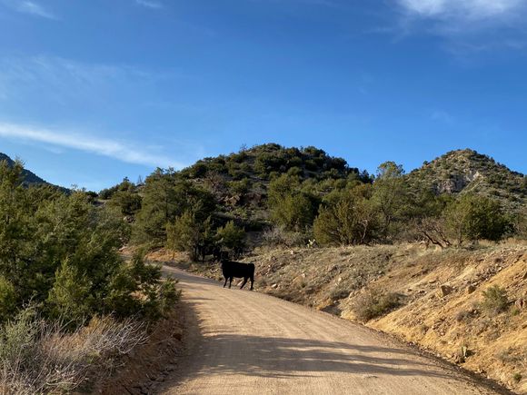 The road to the hot springs