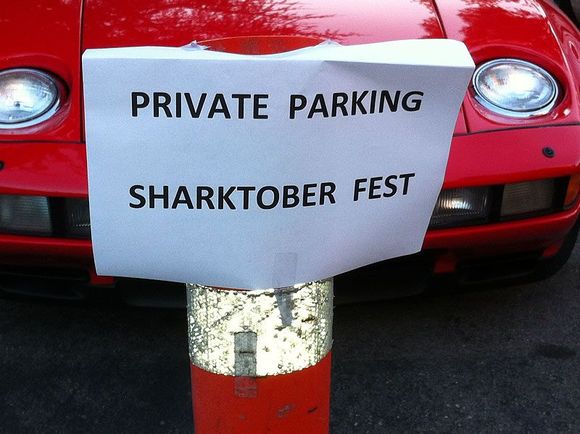 Shark 7