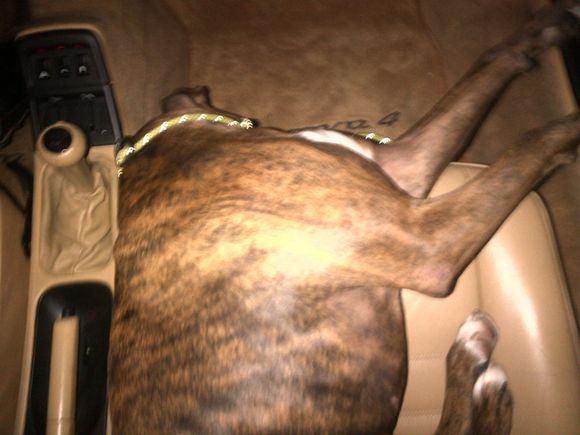 wiped out.