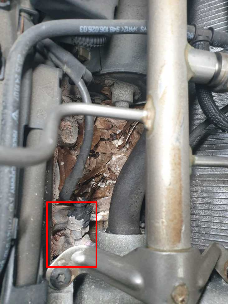 Cayenne S coolant leak investigation Rennlist Porsche Discussion Forums