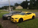 2015 Mustang GT Premium PP