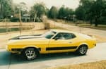 1973 Mustang Mach 1 (how I miss her)