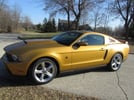 MY 2010 Mustang GT (ROUSH) in Sunset Gold (1 of 415)