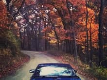 Another scenic view of some Michigan backstreets...with admittedly a bit of filter.