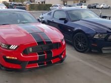 My 2016 gt350 with my 2011 GT (my trade in).    The GT350 is a quantum leap over the old GT with Brembo Package.