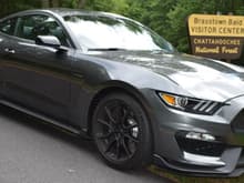 2019 GT350 (Magnetic Metallic is what Ford called dark grey)
