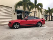 I keeped it simple, but didn't like the OG 2005 "Mustang" on the side. Since it was at the bodyshop, we took advantage to make a change. The passenger side didn't get painted, so it still needed them.