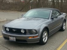 My 07 GT Convertible named what else, Eleanor.