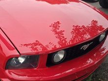 33680 miles clean