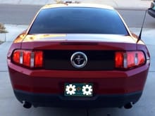 My mustang's progress