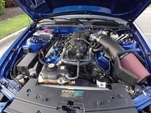 2008 GT500 engine, with 2013 cams, 2.5&quot; pullley, 80lb injectors, full headers, no cats, L&amp;M twin 72mm t-body, JLT 148mm MAF, 3&quot; exhaust.   580 hp at the rear wheels = 650 hp at flywheel.  next install a used 13&quot; TVS S/C and E85